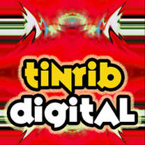 Tinrib Digital Main Logo