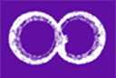 The Planetary Collegium