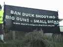 Duck Hunting