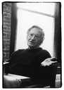 chomsky.info