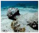 Underwater Sculpture