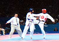 tkd1.jpg
