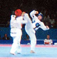tkd2.jpg