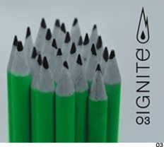 Ignite Logo