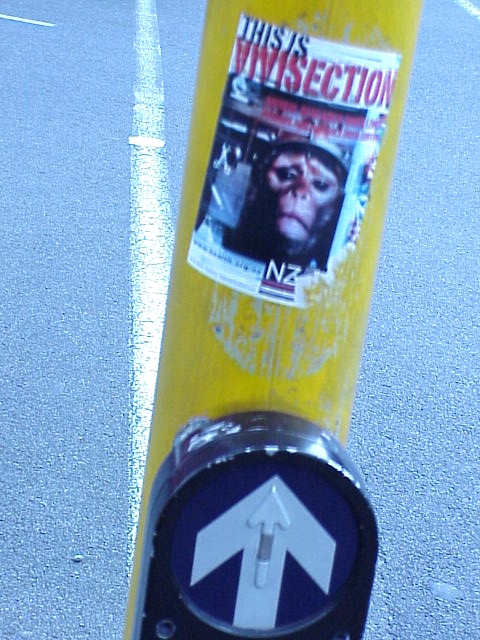 Vivisection