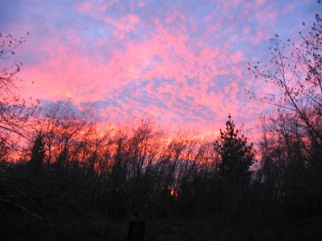 'til sunrise