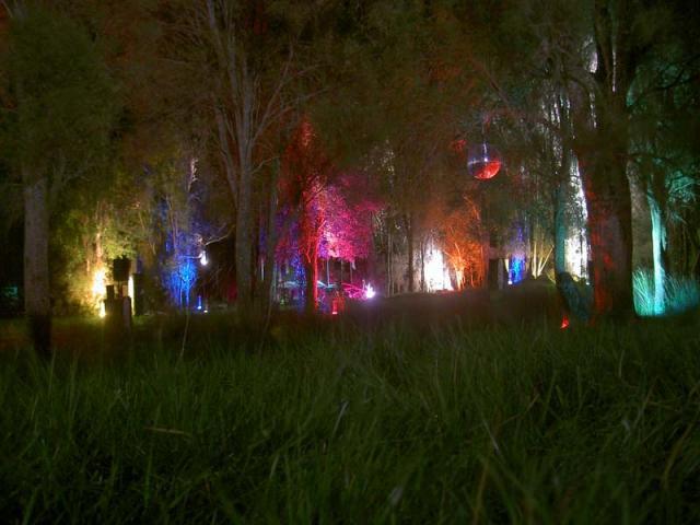 Lighting Action