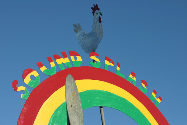 Rooster