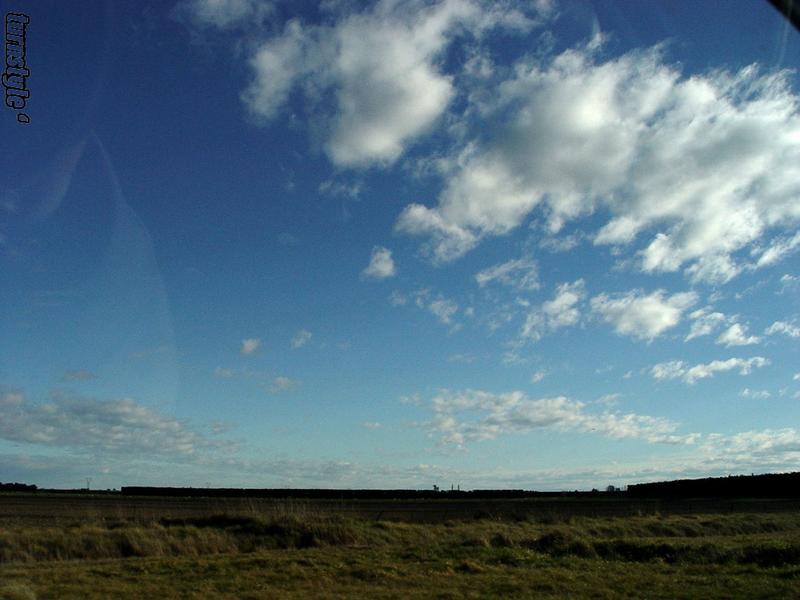 On the plain