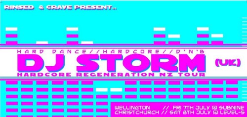 Stormin Flyer