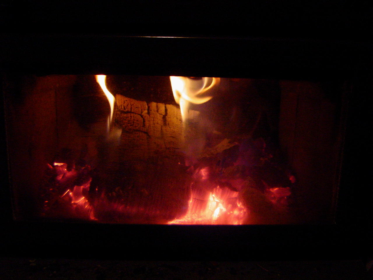 in the winter