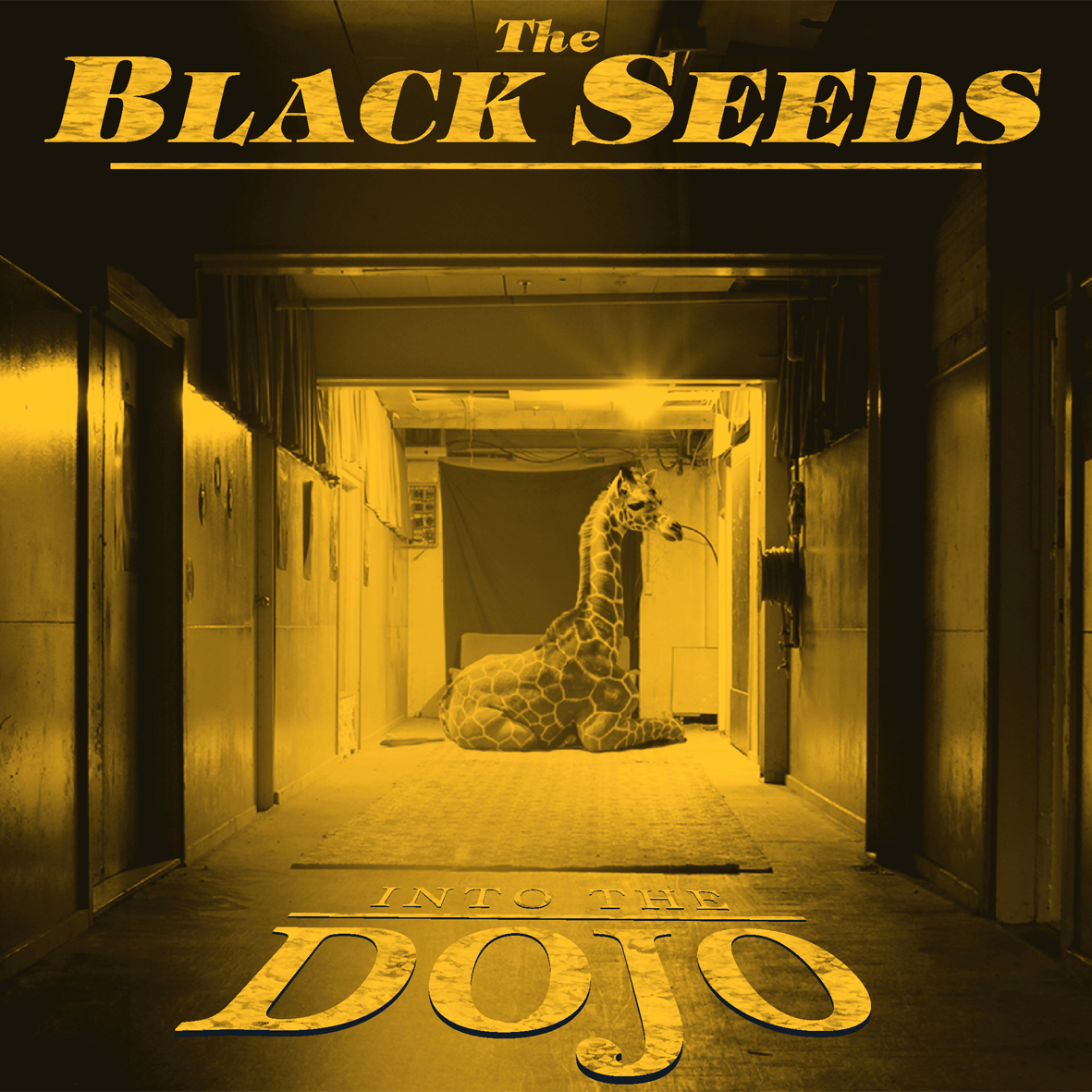Dojo