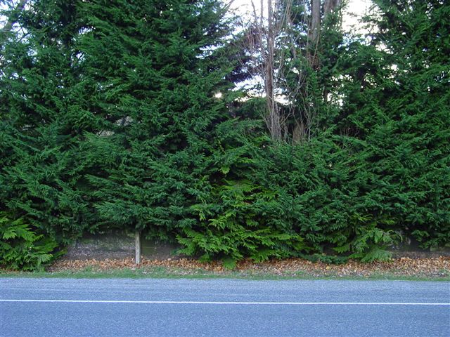Frankton Rd