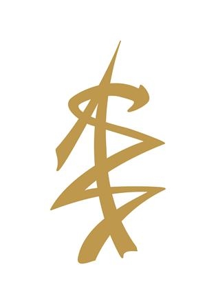 DV8 logo1