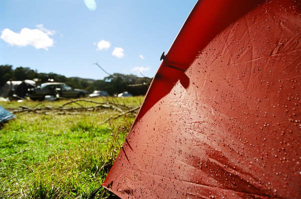 Phat 05 - the aftermath... — image 15