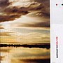Shapeshifter - Real Time