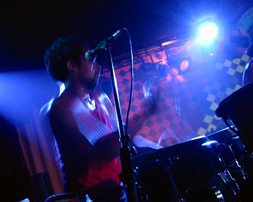 Blackseeds in Sydney — image 3