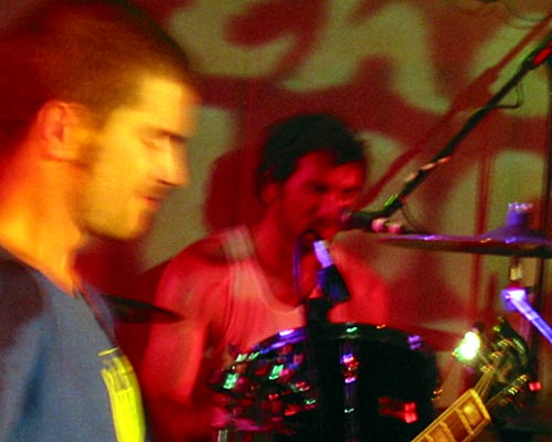 Blackseeds in Sydney — image 2