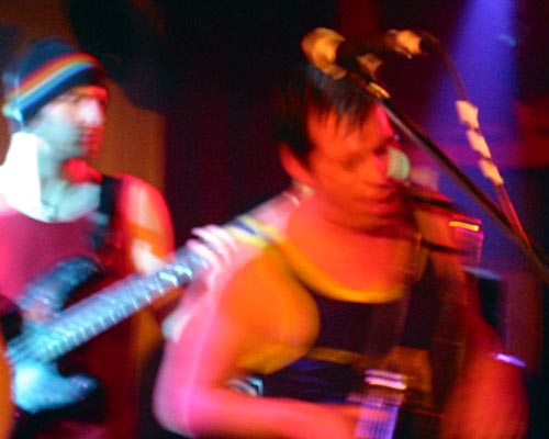 Blackseeds in Sydney — image 10