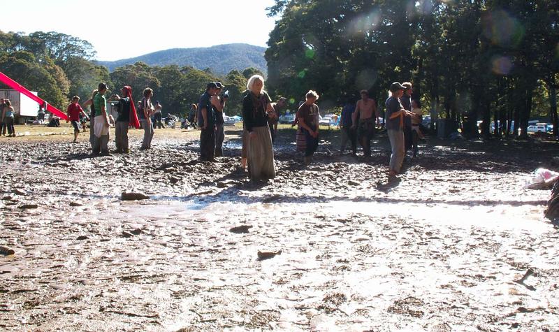 Sunny mud