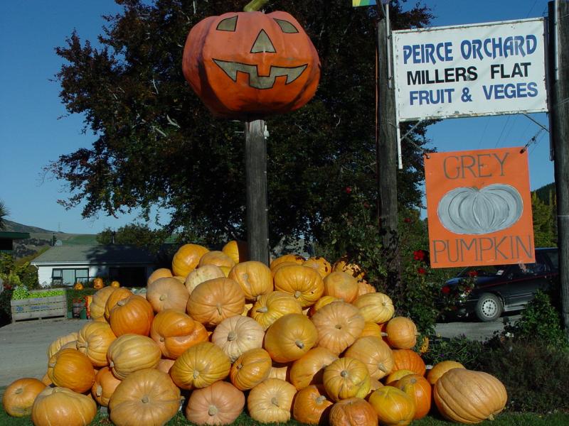 Pumpkin aye'