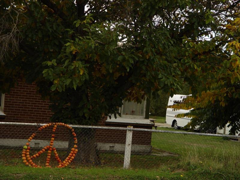 Rural peace