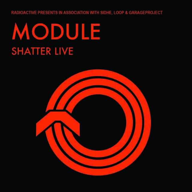 Module Shatter Poster_web.jpg