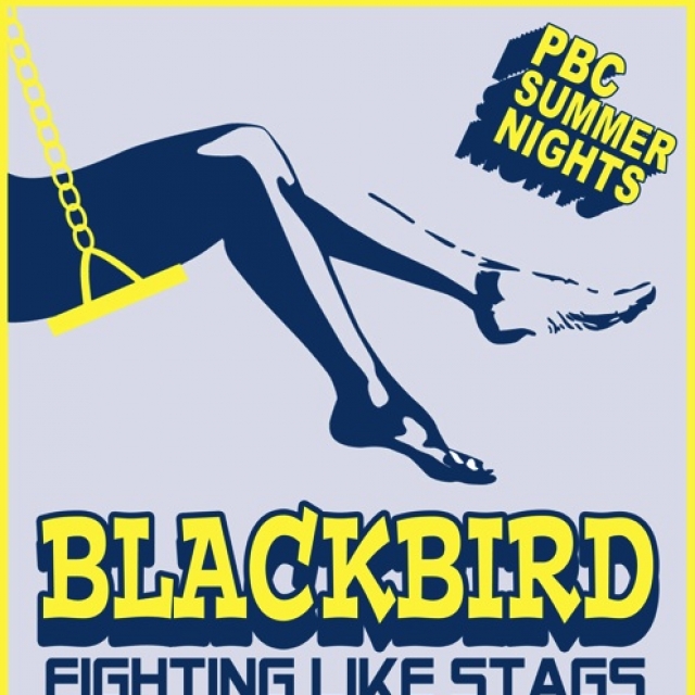 Blackbird 8 Dec_web.jpg