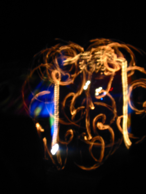 Wings of fire