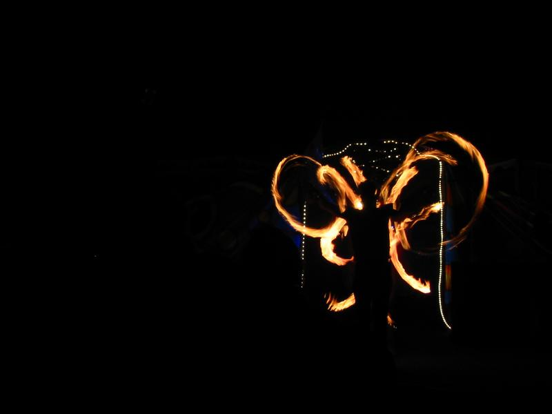More wings of fire