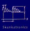Skankatronics CD Cover
